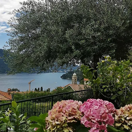 La Dolce Vista By My In Moltrasio